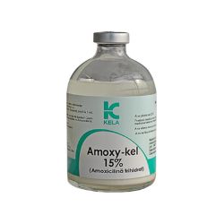 Amoxy-kel 100 ml