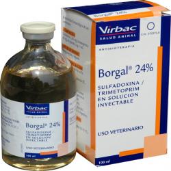 Borgal 24% 100 ml