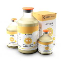 Ceftisol 250 ml