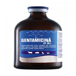 Gentamicina FP 100 ml