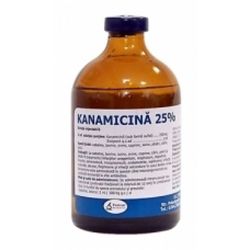 Kanamicina 100 ml