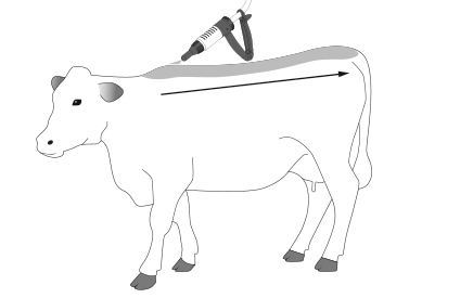 Antipoux van plant solutie cabaline 120 ml