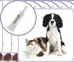 Antipoux cat 1 pipeta